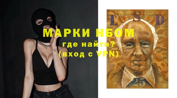 спиды Бородино