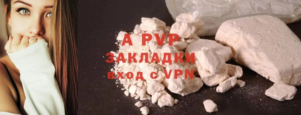 прущие грибы Верхний Тагил