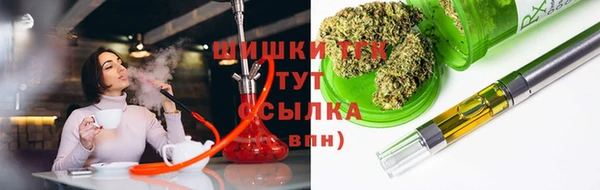 спиды Бородино