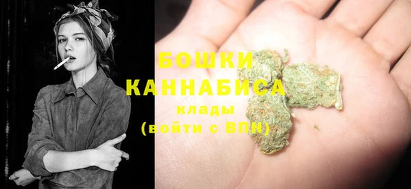 спиды Бородино