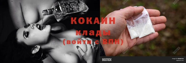 спиды Бородино