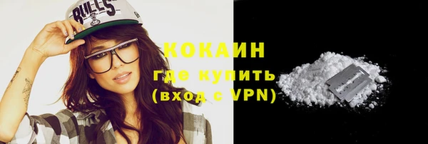 прущие грибы Верхний Тагил