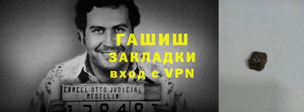 прущие грибы Верхний Тагил