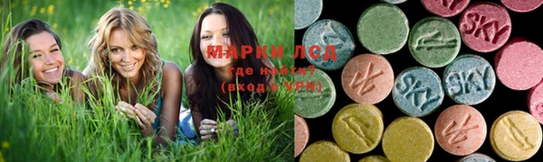 прущие грибы Верхний Тагил