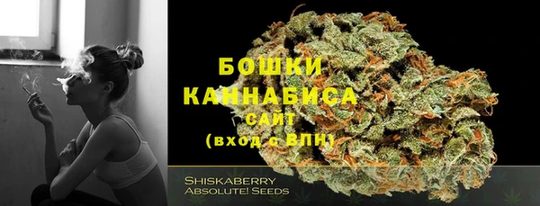 прущие грибы Верхний Тагил