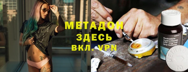 прущие грибы Верхний Тагил